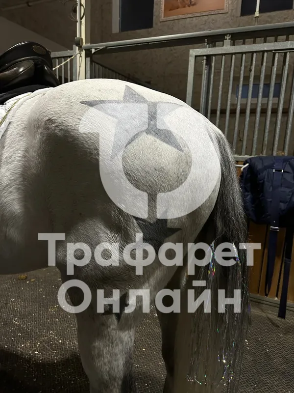 Пример применения трафарета 7
